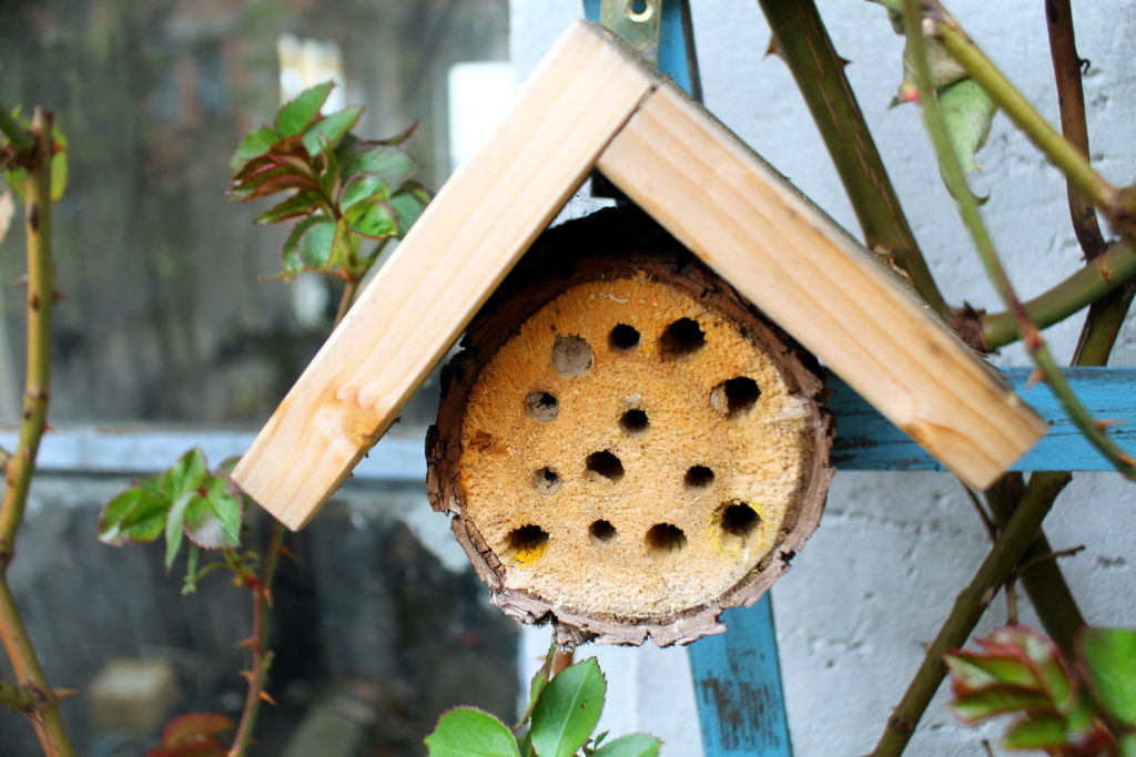 selbst gebautes Insektelnhotel